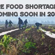 Are Food Shortages Coming Soon In 2020