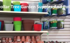 Find Cheap Garden Supplies Planters At Dollar Tree Store